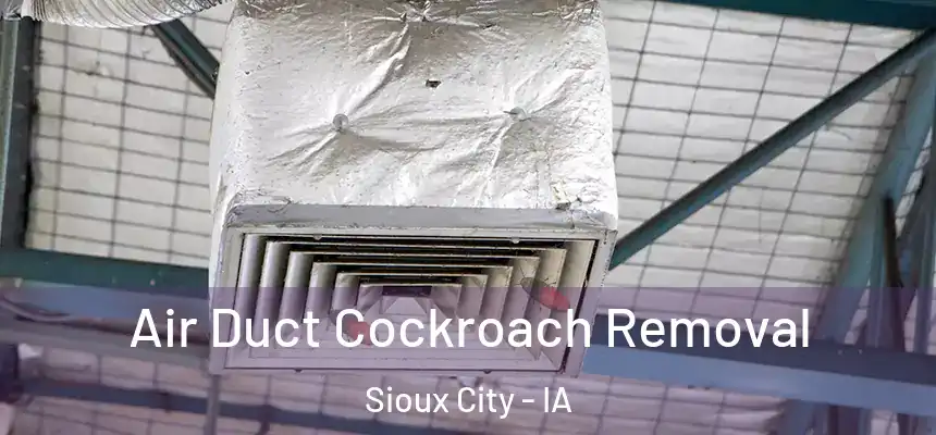 Air Duct Cockroach Removal Sioux City - IA