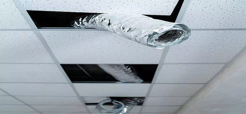 Our Air Duct Pet Hair Removal Services in Sioux City, IA