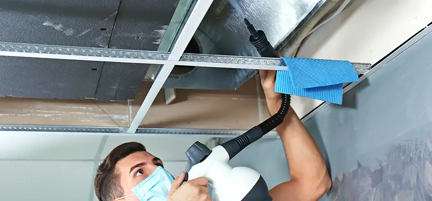 Our Air Duct Rodent Removal Services in Sioux City, IA