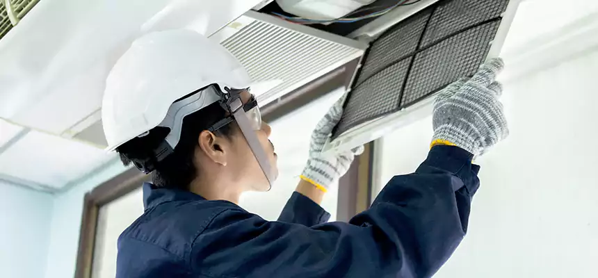 Our Mold & Mildew Removal from Air Ducts Services in Sioux City, IA