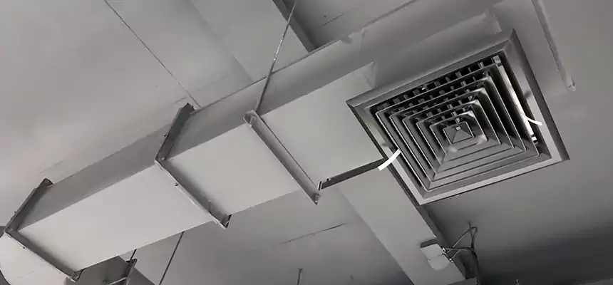 Our Pest Removal From Ducts Services in Sioux City, IA