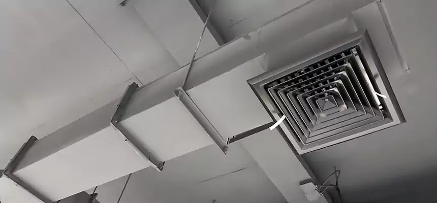 Our Rodent Droppings In Vents Services in Sioux City, IA