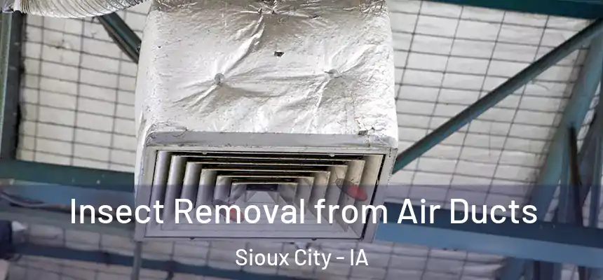 Insect Removal from Air Ducts Sioux City - IA