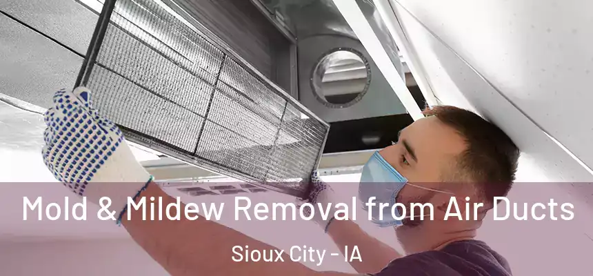  Mold & Mildew Removal from Air Ducts Sioux City - IA