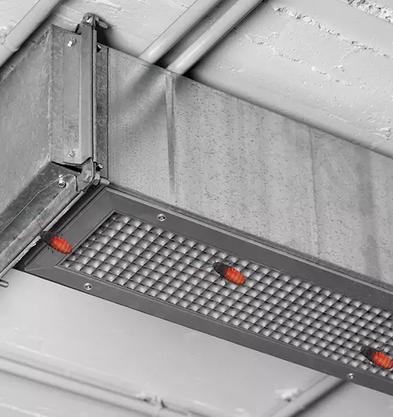 Affordable Insect Removal from Air Ducts in Sioux City, IA