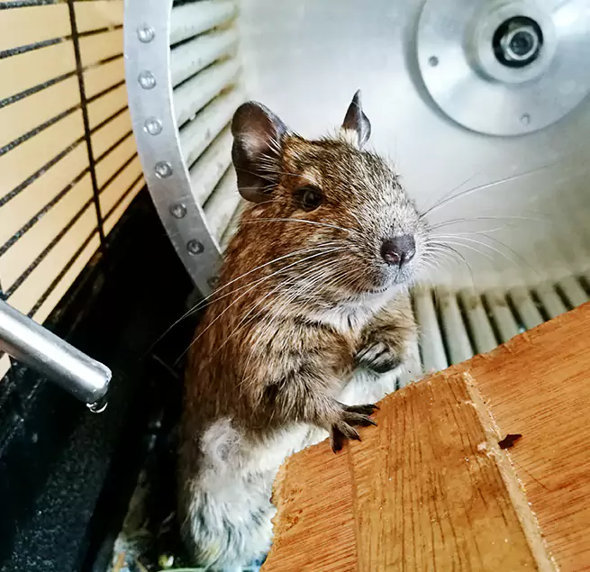 Why Homeowners & Businesses Trust Us Sioux City, IA